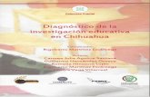 Diagnóstico de la Investigación - REDIECH de la... · 2016-08-08 · DIAGNÓSTICO DE LA INVESTIGACIÓN EDUCATIVA EN CHIHUAHUA 2000 – 2011 11 ción educativa en Chihuahua. Seguramente