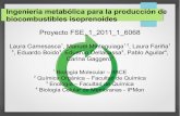 Ingeniería metabólica para la producción de biocombustibles … · 2017-12-13 · Ingeniería metabólica para la producción de biocombustibles isoprenoides Proyecto FSE_1_2011_1_6068