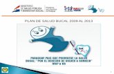 PLAN DE SALUD BUCAL 2009 AL 2013 - portal.mspbs.gov.pyportal.mspbs.gov.py/bucodental/wp-content/uploads/...de higiene bucal, dieta, utilización del flúor y de los sellados de fosas