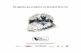 El águila pescadora en Euskal Herria · La cabeza es también esencialmente blanca, ... La mayoría de los ejemplares no se reproducen por primera vez hasta alcanzar al menos los