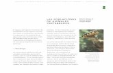 POBLACIONES DE ANIMALES Joseph Wright VERTEBRADOSbdigital.binal.ac.pa/bdp/la cuenca3.pdf · un total de 24 especies de anuros (ranas y sapos) . La ranita Colostethus flotator fue