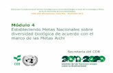 2011 Mesoamerican NBSAPCBW (Presentation by SCBD …...Al menos 10% de cada una de las regiones ecológicas del mundo conservadas efectivamente (sub-objetivo 1.1). Al menos 30% del