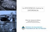 La EFICIENCIA marca la DIFERENCIA - Argentina.gob.ar...Dirección de Porcinos, Aves de Granja y No Tradicionales con datos de Gestión Estratégica de la Información de la Dirección