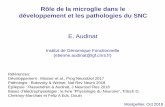 Rôle de la microglie dans le développement et les ...€¦ · Rôle de la microglie dans le développement et les pathologies du SNC Montpellier, Oct 2019 E. Audinat Institut de