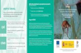 Fuente: Estudio ASPAPEL 2013 OBJETIVO GENERAL 3/año Proyecto … · 2019-06-25 · Proyecto prospección y control de la plaga Gonipterus del eucalipto en Galicia, Asturias y Cantabria