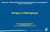 Dengue y ChikungunyaSimposio: “Enfermedades infecciosas emergentes y reemergentes” ANM- INS, 15 de Abril 2015 Dengue y Chikungunya César Cabezas Sánchez Instituto Nacional de