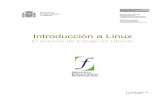 Introducción a Linux - WordPress.com · 2007-05-03 · GNU/Linux. Antes de nada aprenderemos a orientarnos en este entorno y a usar correctamente los mecanismos de comunicación