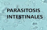 Dengue y Parasitosis intestinales - Fundación iofundacionio.org/docs/contenidos/contenidos_ii_curso_med...Neumonitis o Síndrome de Loeffler: causada por una reacción alérgica a