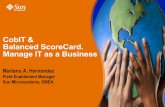 CobIT & Balanced ScoreCard. Manage IT as a Business cobit... · 2017-08-25 · Recursos de TI Datos: Todos los objetos de información. Considera información interna y externa, estructurada