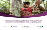 Estrategia sectorial de la cadena de productos no maderables del … Vision_Amazonia_PNMB... · 2018-11-09 · Estrategia sectorial de la cadena de productos no maderables del bosque