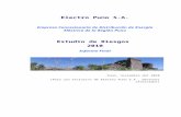 Electro Puno S€¦ · Web viewEmpresa Concesionaria de Distribución de Energía Eléctrica de la Región Puno Estudio de Riesgos 2010 Informe Final Puno, noviembre del 2010 (Para