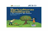Sourrisseau 2016 Las agriculturas famililiares y los ...agritrop.cirad.fr/583958/1/capitulo13.pdf · internas, y de la conjunción de estrategias entre los actores de los distintos