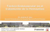 Táctica Endovascular en el tratamiento de la Hemoptisiscaci.org.ar/assets/misc/docs/andres-dini.pdf · 1- angiografía selectiva de las arterias bronquiales y/o arterias no bronquiales