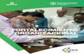 Fortalecimiento organizacional · las herramientas de diagnóstico participativo adecuadas. El Recuadro 2 identifica los elementos clave del análisis organizacional requeridos para