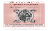 Programación Diocesana de Pastoral «Curso 2011 - 2012»vez, hemos recibido por gracia” ( Verbum Domini, 91). Objetivos de la programación de pastoral ... En este número de Pastoraliate
