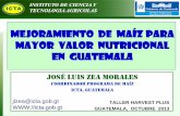 Mejoramiento de maíz para mayor valor nutricional EN GUATEMALAlac.harvestplus.org/wp-content/.../2015/02/Maiz-Guatemala_JZea_oc… · Mejoramiento de maíz para mayor valor nutricional