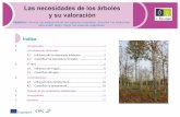 9 Las necesidades de los árboles ESPeforown.ctfc.cat/pdf/9_Las necesidades de los arboles_ESP.pdf · Estimar el agua disponible para los árboles requiere una apreciación de la