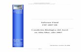 Informe Final FIP 2007-08 Condición Biológica del Jurel en ... · Marcos Arteaga Biólogo Marino Estimación de varianza. Evaluación de tamaños de muestra adultos y estaciones.