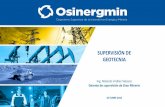 SUPERVISIÓN DE GEOTECNIA · 2018-10-31 · SUPERVISIÓN EN GEOTECNIA La GSM ejecuta supervisiones en base a un Programa de Supervisión Anual; en el caso de depósitos de relaves,