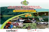ÍNDICE - Amazonas Region · PLAN DE DESARROLLO REGIONAL CONCERTADO ACTUALIZADO AMAZONAS AL 2021 I. SINTESIS DEL ANALISIS PROSPECTIVO 1.1. DISEÑO DEL MODELO CONCEPTUAL Un modelo