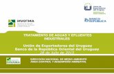 Tratamiento de aguas y efluentes industriales DINAMA-UEU ... · mejora de la eficiencia y eficacia de las herramientas de control B) Aplicación de planes de adecuación y mejora