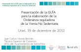 Sin título de diapositiva · Presentación de la GUÍA para la elaboración de la Ordenanza reguladora de la Venta No Sedentaria 4. Promoción:En función de la naturaleza jurídica