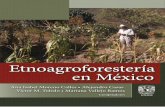 Bosque de niebla - Etnoagroforestería en México · Etnoagroforestería en México fue financiado por la Escuela Nacional de Estudios Superiores, Unidad Morelia y el Instituto de