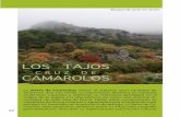 LOS TAJOS C R U Z D E CAMAROLOS - Malagastatic.malaga.es/malaga/subidas/archivos/1/6/arc_176161.pdf · LOS TAJOS C R U Z D E CAMAROLOS La Sierra de Camarolos ofrece al visitante gran