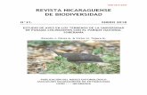 ISSN 2413-337X REVISTA NICARAGUENSE DE BIODIVERSIDAD · revista nicaraguense de biodiversidad n°21. enero 2018 estudio de aves en los terrenos de la universidad de panamÁ colindantes