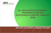 Presentación de PowerPoint...•Aplicación para realizar los tramites usando los medios informáticos. •Se prueba en 7 Registros del municipio Cumanayagua. •Extender en la provincia