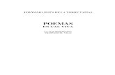 POEMAS - UGTportal.ugt.org/fflc/ambitos/Poemasencalviva.pdf · 2012-03-17 · POEMAS EN CAL VIVA POEMAS (1996-2006) PUEBLO Y POETA Pueblos y poetas, valles y riberas, Botijas y Cucos,