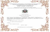 UNIVERSIDAD NACIONAL AUTONOMA DE NICARAGUA …repositorio.unan.edu.ni/3826/1/11069.pdfSeminario de Graduación para optar al título de Ingeniería Agroindustrial. Tema General: ...