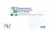 Dr. Luiz Augusto Galvão · Dr. Carlos Santos-Burgoa Asesor Principal, Seguridad Humana 19 efectivas. 2004 Organización Panamericana De la Salud Contenido • Los procesos: Naciones
