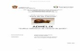 ADHELIX - produccion animalproduccion-animal.com.ar/produccion_caracoles/31-cultivo...El caracol terrestre o “Helix aspersa”, es un molusco gasterópodo de vida aérea, una de