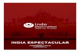 India Espectacular - INDO DESTINATION Espectacular.pdf · Almuerzo con demostración de comida típica india en Ikaki Niwas. En India, la astrología es un servicio muy reconocido