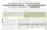 EQUIPOS Y MAQUINARIA SEPARACIÓN de ACEITUNAS …oa.upm.es/5375/1/Barreiro_10.pdf · Densidad de las aceitunas establecida a partir de la flotación en soluciones de salmuera. Concentraciones
