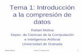 Tema 1: Introducción a la compresión de datos · La compresión de datos es una de las llamadas tecnologías posibilitadoras (enabling technologies) para estos tres elementos que