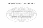 Universidad de Sonoracp.isi.uson.mx/practicas_docs/211214529-reporte.pdfservicios de tecnología; a empresas chicas, medianas y grandes. ... Los packs de alojamiento web para principiantes