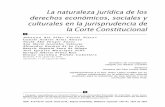 109 La naturaleza jurídica de los derechos económicos ...criterios de distinción de los derechos fundamentales en el caso concreto,3 a la existencia de consensos sobre tal naturaleza