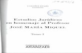 Estudios Jurídicosintranet.mpr.bage.es/intranet-tmpl/prog/local_repository/documents/197067.pdf · Reconocimiento por via de interpretación constitucional. ... ANA CAl\rIZARES LASO