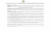 Ayuntamiento de Miraflores de la Sierra (Madrid)blogs.ppmadrid.es/miraflores/files/2018/10/PPT-DEFINITIVO.pdf · Ayuntamiento de Miraflores de la Sierra (Madrid) Expediente nº: VS