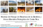 Presentación de PowerPoint · Ley Forestal Nº 7575 Artículo N°6, inciso k Prevenir y combatir plagas, enfermedades e incendios forestales en los terrenos del Patrimonio Natural