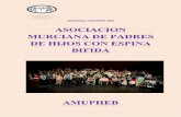 MEMORIA AMUPHEB 2016amupheb.org/wp-content/uploads/2017/04/MEMORIA-FINAL...AASOCIACIÓN MURCIANA DE PADRES E HIJOS CON ESPINA BÍFIDA. C/ Sierra de Gredos 8 Bajo, 30.005 Murcia MEMORIA