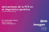 Aplicaciones de la PCR en el diagnóstico genético · Aplicaciones de la PCR en el diagnóstico genético Dr. Carlos Ruiz Lafora Director Técnico carlos.ruiz@imegen.es