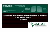 “Fibrose Pulmonar Idiopática e: Tabaco”...Enfisema en el contexto de Fibrosis Pulmonar Estudio Pacientes con Enfisema y Fibrosis Pulmonar % Akira et al. 15/80 18,8 Copley et al.