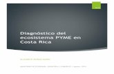 Diagnóstico del ecosistema PYME en Costa Ricareventazon.meic.go.cr/.../diagnostico.pdf · 2015-08-19 · 2 Diagnóstico del Ecosistema PYME en Costa Rica Introducción Las micro,
