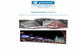 MEMORIA 2012 DGVEP - Madrid · k) Control de calidad de obras y actuaciones en la vía pública. 1.3. En materia de licencias y autorizaciones: a) Conceder las licencias o autorizaciones