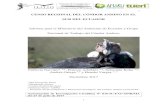 CENSO REGIONAL DEL CÓNDOR ANDINO EN EL SUR DEL ECUADOR · 2 2 RESUMEN Entre el 27 y 29 de Septiembre 2017, se llevó a cabo un censo simultáneo del cóndor andino (Vultur gryphus)