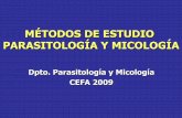 Métodos de estudio en parasitología y micologíaCoproparasitario: incluye “limpieza” de la suspensión de materias fecales y enriquecimiento por centrifugación. Tratamiento