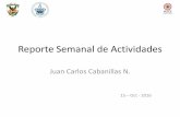 Reporte Semanal de Actividades - UNAM€¦ · Reporte Semanal de Actividades Juan Carlos Cabanillas N. 15 – Oct - 2016 . Actividades realizadas Trabajo del Simulador DCS Archive